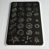 Full On Floral (CjSLC-16) - Steel Stamping Plate